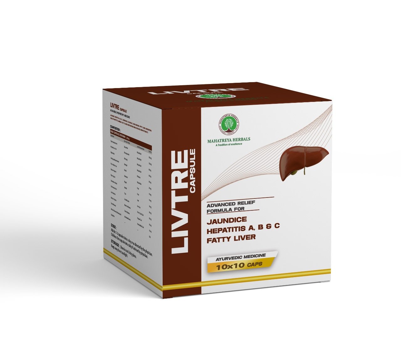 Home 23 LIVTRE 10x1x10 STRIP BOX